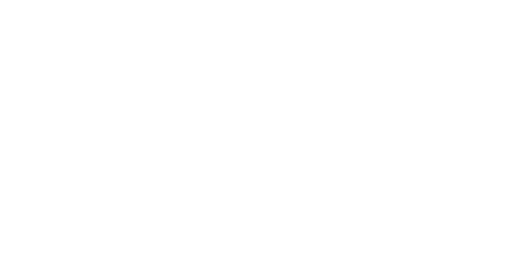THE BROSSY